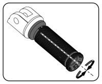 REGULACION EVOLUTION