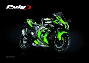 Kawasaki ZX-10R.jpg