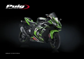 Kawasaki ZX-10R KRT Replica.jpg