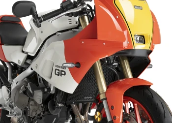 Protezione Radiatore