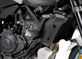 Tamponi paratelaio R19