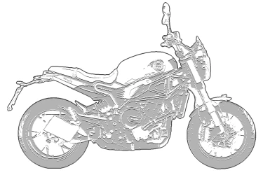 BENELLI LEONCINO 800