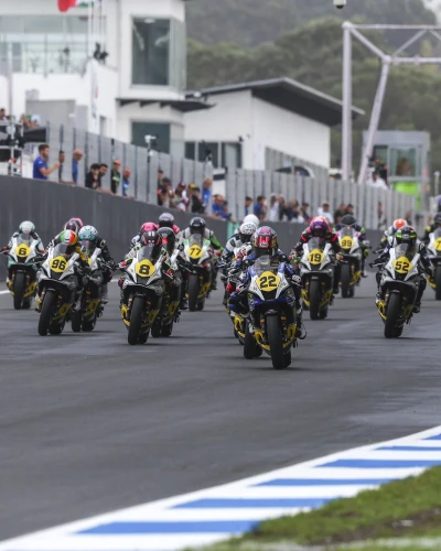 RUMBO AL TÍTULO: LA CARRERA PARA SER CAMPEONA